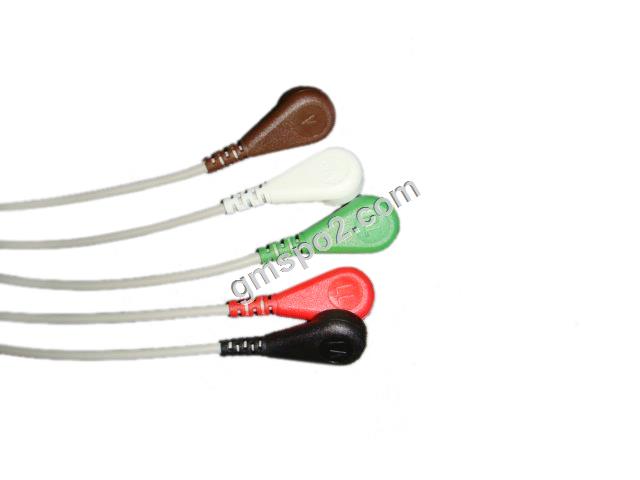 5-олово aha snap-.jpg 5-lead aha snap-.jpg